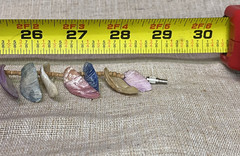 Vintage 1970s-1990s Dyed Shell & Wood Bead Necklace 28″ Screw Barrel Clasp Boho
