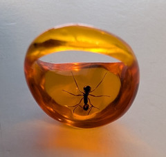 AMBER LUCITE RING SIZE APROX 8.5 With ANT ENCASED IN RESIN