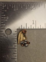 Vintage Austria Brooch Earrings Set Brown Clear Rhinestones Gold Tone Floral