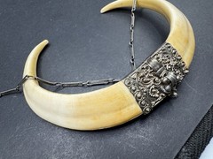 Vintage 19th Century Bear Double Tusk Pendant & Chain