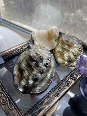 Vintage Iridescent abalone sea shell 2 inch earrings & Smal Pendant