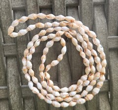 Vintage Natural Shell Bead Necklace Strand Approx 20″ Layering Coastal Boho Chic