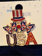 Mint Red White Blue USA Patriotic Brooch