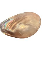 Vintage Mother of Pearl Scarf Ring Slide Large Shell Oval Don & Verna Jewelry