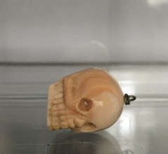 Victorian Conch Coral Memento Mori Skull Pendant 21mm Pre-drilled