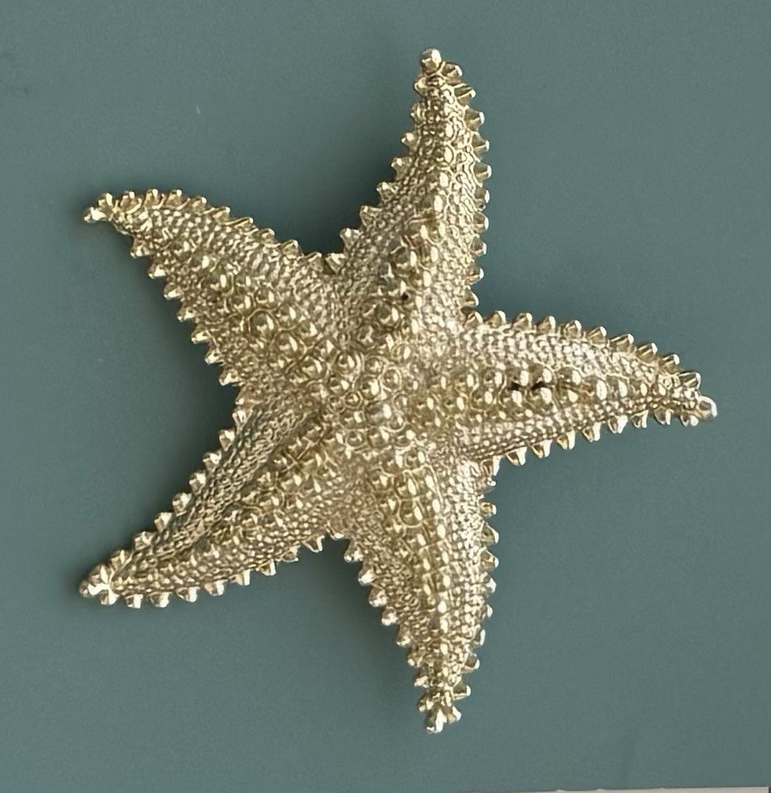 Vintage starfish brooch pin / brushed gold tone metal