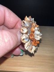Seashell Small Brooch Orange & Beige Boho Beach Artsy