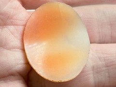 Vintage Loose Hand Carved Shell Cameo Woman with Bird on Head 1 1/8 Inch x 7/8In