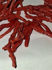 Vtg Graduated Mediterranean Red Salmon Color Branch Coral Barrel Clasp Necklace