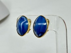 Vintage Goldtone Marbled Blue Plastic Inset Clip On Earrings