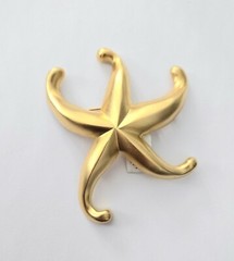 Brushed Gold Starfish Pin Brooch Nordstrom