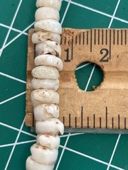 Tiger Puka Shell Necklace Beach Surfer 17.5” Collar white & brown specks VTG
