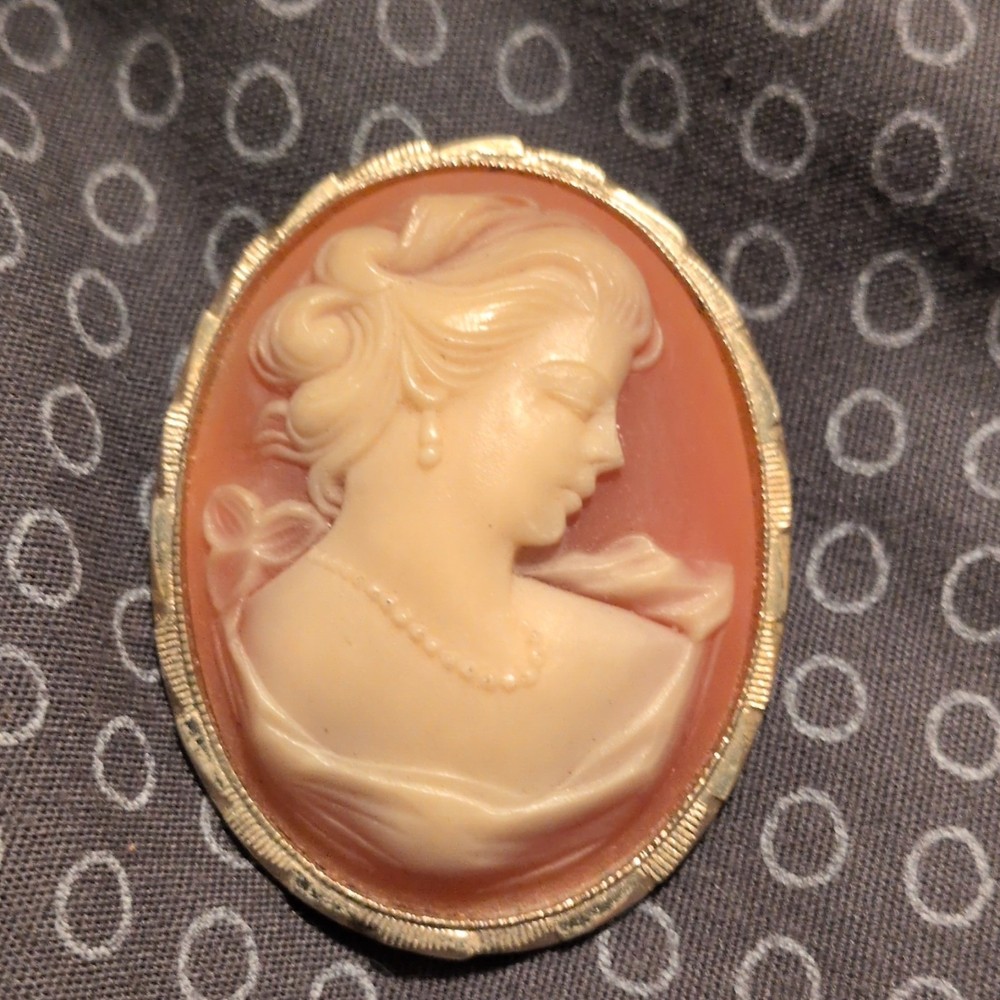 Oval Cameo Portrait Brooch Pin Gold Tone Frame Pink & Ivory, Beauty Theme