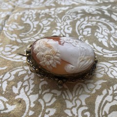Beautiful Shell Cameo Brooch / Pendant , Vintage or Antique, Filagree Bezel