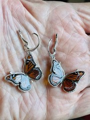 Amber Butterfly Genuine Baltic Earrings Vintage Butterscotch Sterling Silver