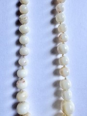Antique Angel Skin Coral Graduated Beaded Knotted 23” Necklace GF Clasp