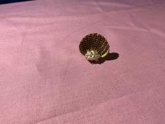 Vintage 1900’s Very Unusual Seed Pear & Amethyst Novelty Shell Clam Ring