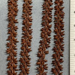 Real Seed Bead Necklace 56 In Hawaiian Koa Hippie Love Brown Bohemian Vintage