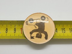 Vintage Circus Bear on Car Pin Brooch Made in the USSR Rare