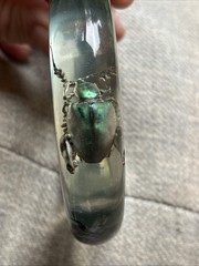 Vtg Metallic Frog Legged Beetle Bracelet Translucent Resin, Med 1960s, NOS (#9)