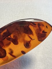 Vintage Large Amber Pendant 14g Freeform Shape Marked Bail Marked 333 8K Gold