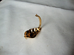 VTG 1970s SCALLOPED CONCH SHELL GOLD TONE HINGED W/SAFETY CATCH DRESS/SCARF CLIP