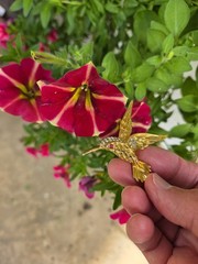 Vintage Evan St Clair Hummingbird Brooch Pin Unsigned Genuine Ruby Eye Box
