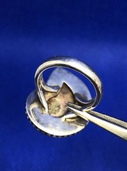 Vintage Ammonite 925 Sterling Silver Shell Fossil Size 5.5 Statement Ring
