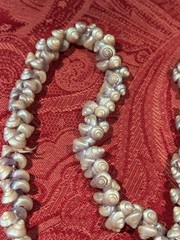 Vintage Trochus Iridescent Shell Necklace 31″