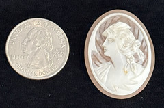 Loose Antique Carved Shell Cameo Portrait Lady Styled Hair Detailed Background