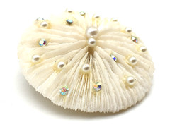 Round White Coral AB Rhinestones & Pearls Brooch Pin