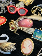 Jewelry Lot Brooches Insect Drummer Cameo Dolphin Keyring Swan Kilt Pin 18 Pcs