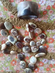 Vintage Dinosaur Designs Pebble Resin Necklace & Cuff ! Stamped