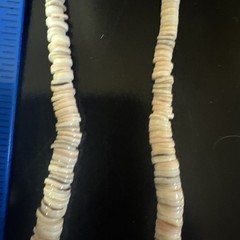 Puka Shell Turquoise Beaded Necklace