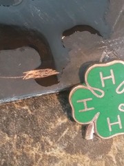 Rare 4H Solid 10K And Green Enamel Pin Marked And Tested 2.64 G