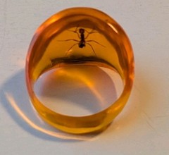 AMBER LUCITE RING SIZE APROX 8.5 With ANT ENCASED IN RESIN