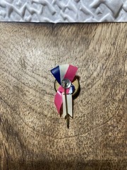 Rare VTG rosette pin back “KEEP YOUR SHIRT ON” 1900’s-1930’s