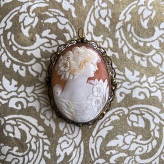 Beautiful Shell Cameo Brooch / Pendant , Vintage or Antique, Filagree Bezel