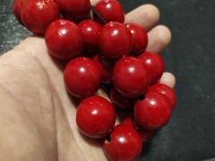 Vintage women’s beads Red color Soviet Made in the USSR Rare