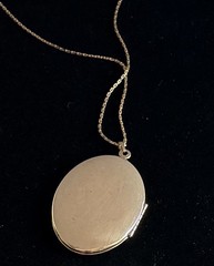 N/C 12k Gold Filled Chain & Etched Floral Locket Pendant Necklace