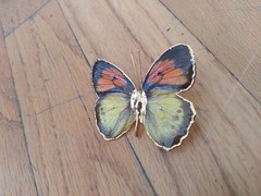 Vintage Butterfly Brooch 2 Inches Yellow Orange Gold Dipped Edging