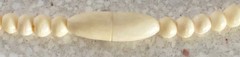 VTG 1950s Hand Carved Dragon Celluloid Cream Colored Bead Necklace Barrel Close