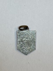Cataloochee Ski Area Maggie Valley North Carolina Vintage Shield CHARM