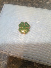 Rare 4H Solid 10K And Green Enamel Pin Marked And Tested 2.64 G