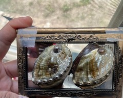 Vintage Iridescent abalone sea shell 2 inch earrings & Smal Pendant