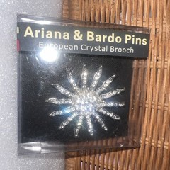 Ariana and Bardo pin / brooch beautiful European Crystal brooch 2” Starburst J43