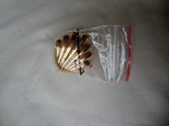 VTG 1970s SCALLOPED SEASHELL GOLD TONE HINGED W/ SAFETY CATCH DRESS/SCARF CLIP