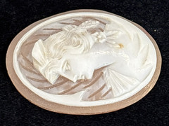Loose Antique Carved Shell Cameo Portrait Lady Styled Hair Detailed Background