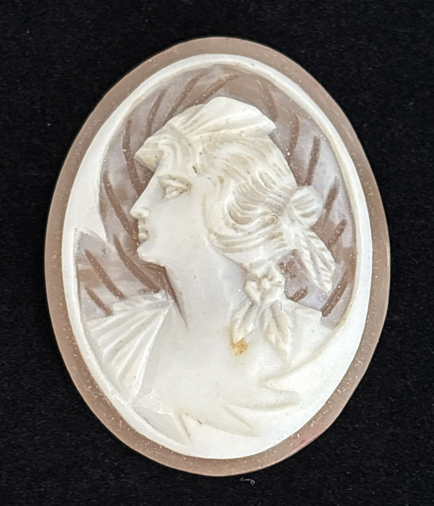 Loose Antique Carved Shell Cameo Portrait Lady Styled Hair Detailed Background