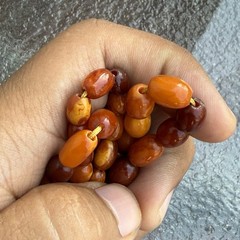 20 Grams Antique Old Natural Baltic Mutton Fat Amber Bead Necklace Jewelry
